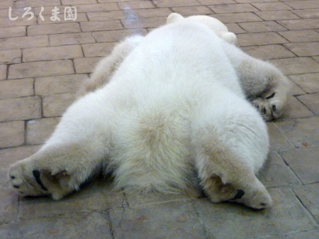 2脱力.jpg