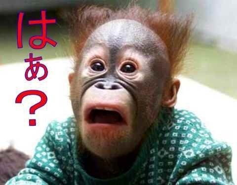 はぁ?.jpg