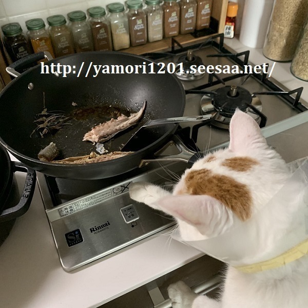 ͂ƎI1.jpg