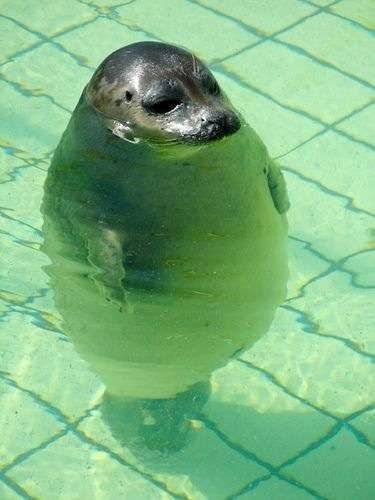ひんやり.jpg
