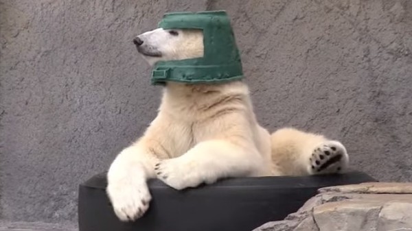 シロクマ被り物.jpg