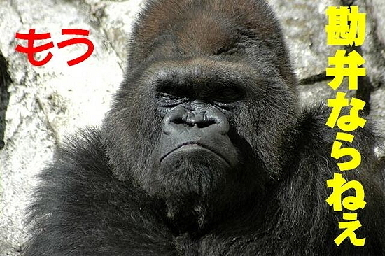 怒り.jpg