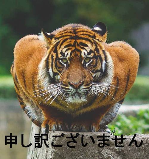 申し訳ない.jpg