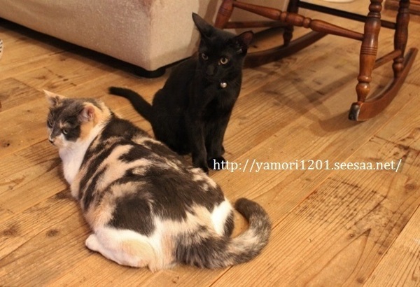 IMG_0290 (640x427).jpg