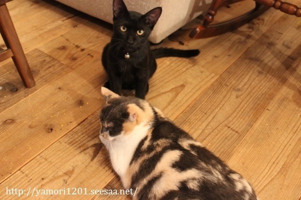 IMG_0298 (640x427).jpg