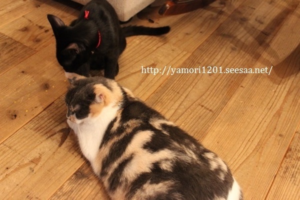 IMG_0300 (640x427).jpg