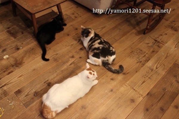 IMG_0307 (640x427).jpg