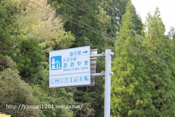 IMG_0510 (640x427).jpg