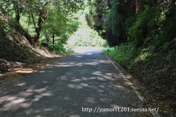 IMG_0514 (640x427).jpg