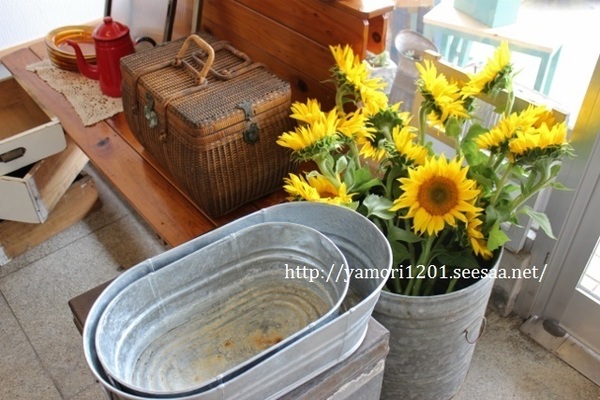 IMG_0618 (640x427).jpg