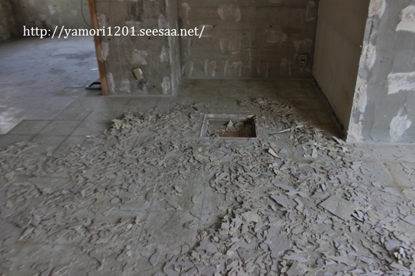 IMG_3450 (640x427).jpg
