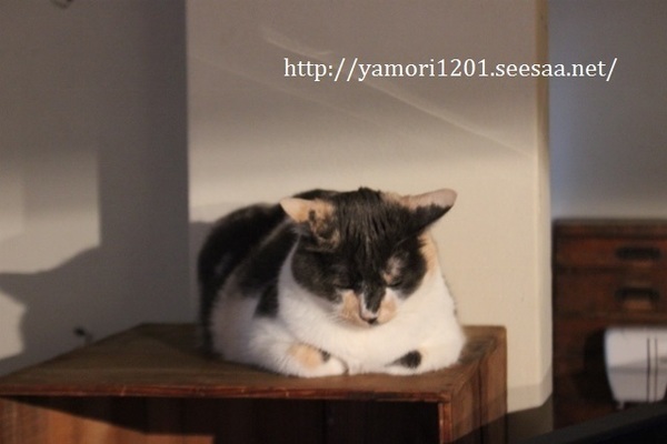 IMG_4401 (640x427).jpg
