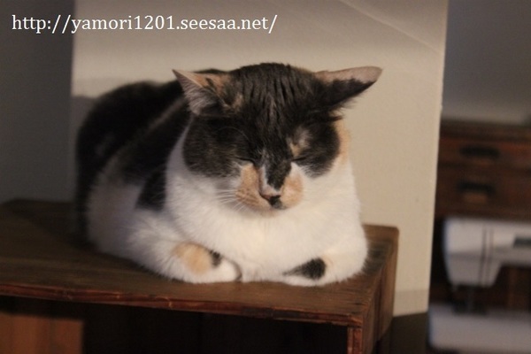 IMG_4402 (640x427).jpg