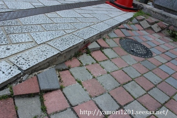 IMG_4503 (640x427).jpg