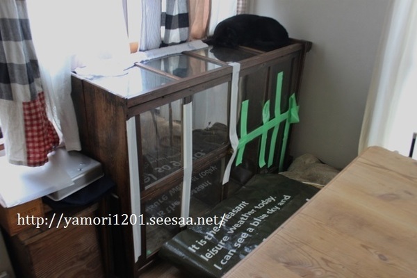 IMG_4527 (640x427).jpg