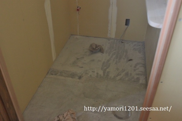 IMG_4617 (640x427).jpg