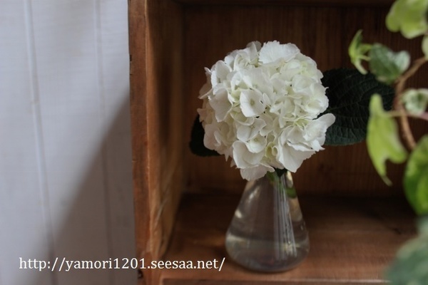 IMG_4669 (640x427).jpg