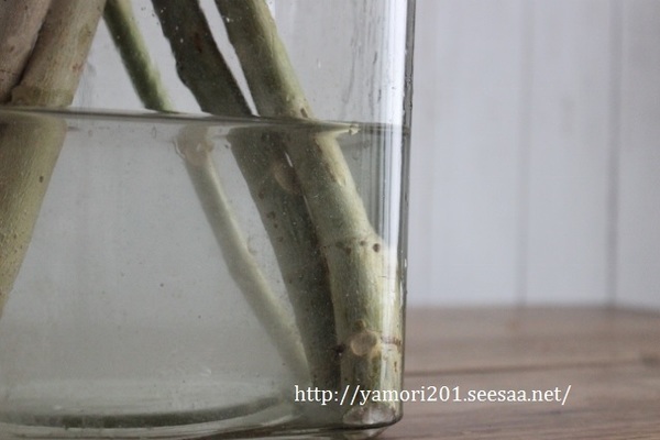 IMG_8415 (640x427).jpg